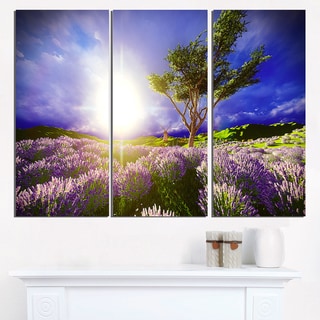 Lavender Field under Blue Sky - Modern Landscape Wall Art Canvas ...