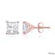 Option Rose
