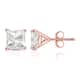 Option Rose