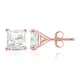 Option Rose