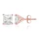 Option Rose