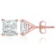 Option Rose