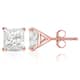 Option Rose