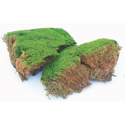 Super Moss 21539 8-ounce Preserved Mood Moss