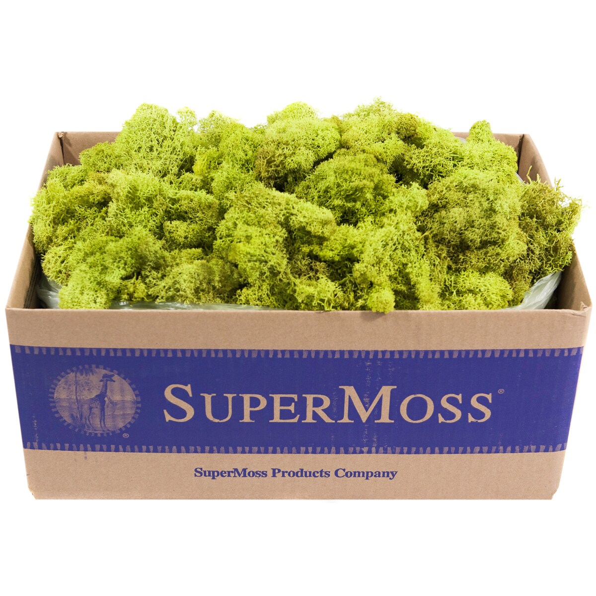 3 lb Bulk Case SuperMoss Mountain Moss Preserved Fresh Green 23805 Appx
