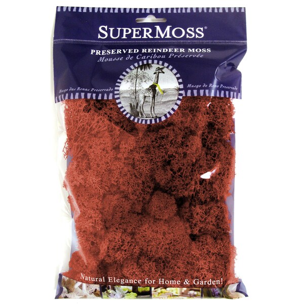 Super Moss 25126 Reindeer Moss Dust Rose