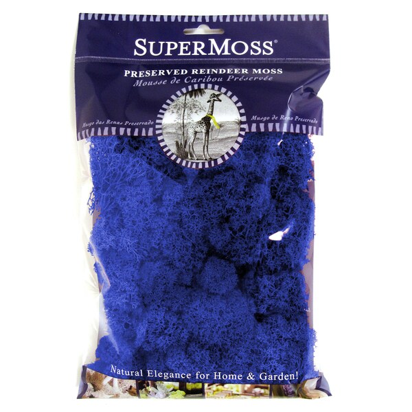 Super Moss 25128 Reindeer Moss Royal Blue
