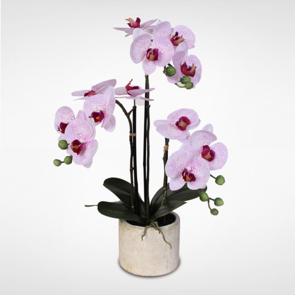 Real Touch Phalaenopsis Silk Orchid Arrangement In A Stone Pot Free Shipping Today Overstock 7050