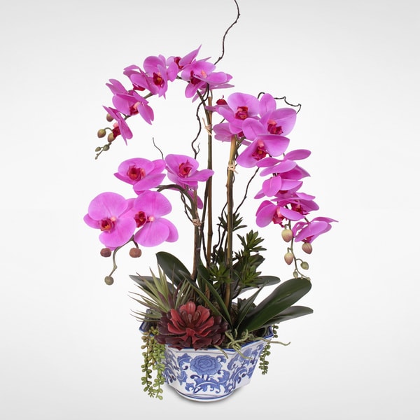 Real Touch Phalaenopsis Silk Orchid Arrangement with Succulents in a ...