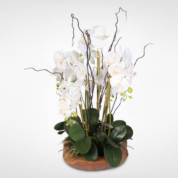 White Real Touch Phalaenopsis Silk Orchid Arrangement in a Natural Teak ...