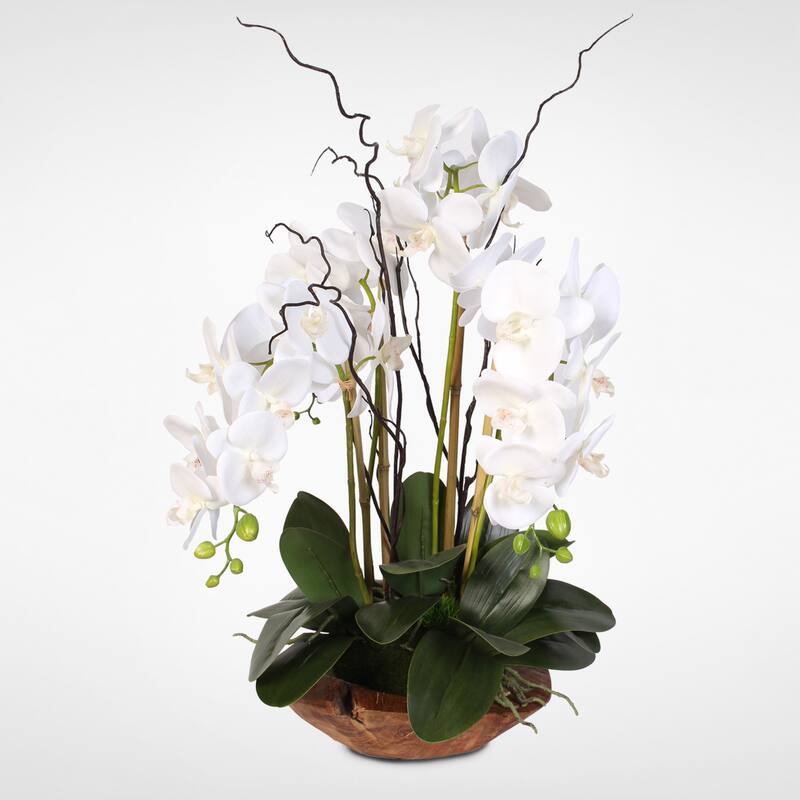 Real Touch Phalaenopsis Silk Orchid Arrangement with Curly Willow in Natural Teak Wood Bowl - White