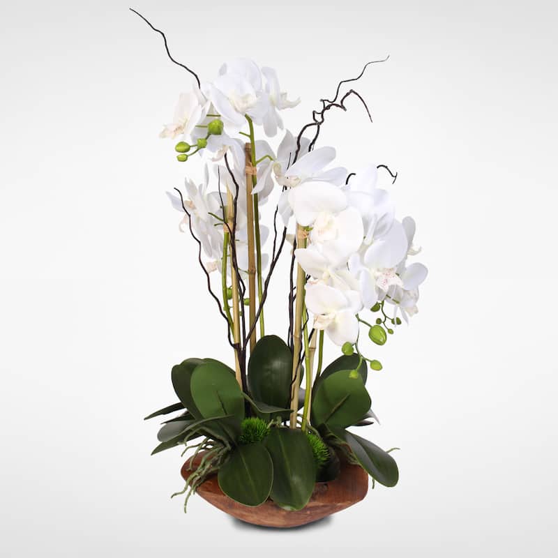 Real Touch Phalaenopsis Silk Orchid Arrangement with Curly Willow in Natural Teak Wood Bowl - White
