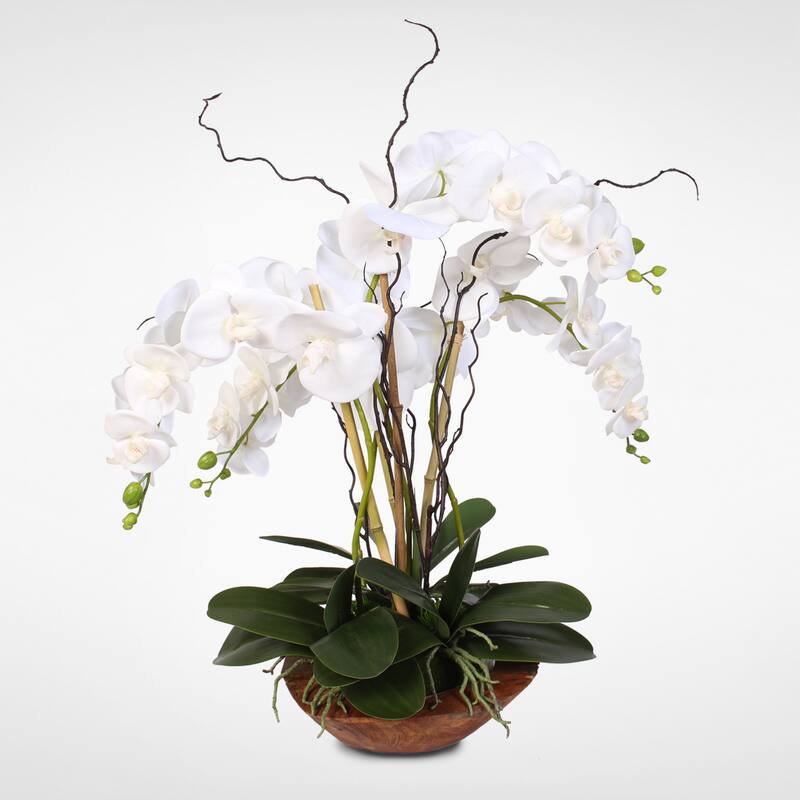 Real Touch Phalaenopsis Silk Orchid Arrangement with Curly Willow in Natural Teak Wood Bowl - White