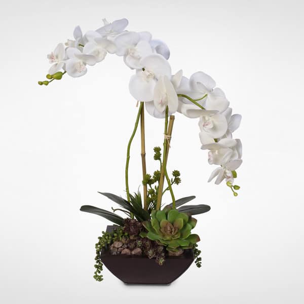 Real Touch White Phalaenopsis Silk Orchids With Succulents In A Modern 