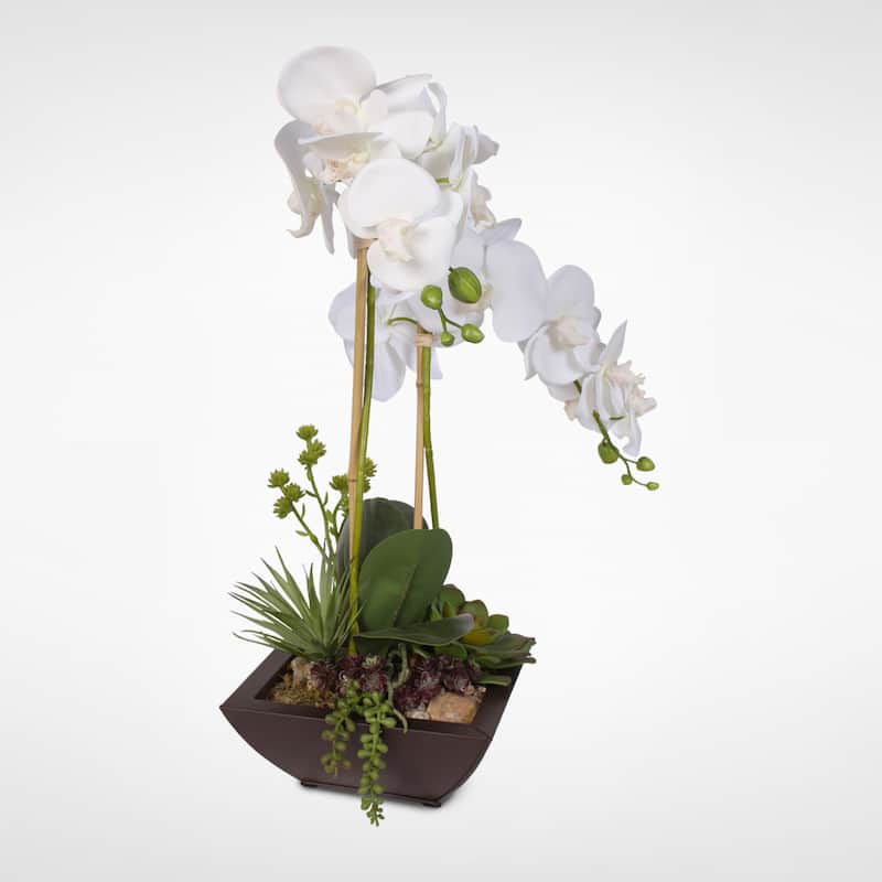 Real Touch White Phalaenopsis Silk Orchids with Succulents in a Modern ...