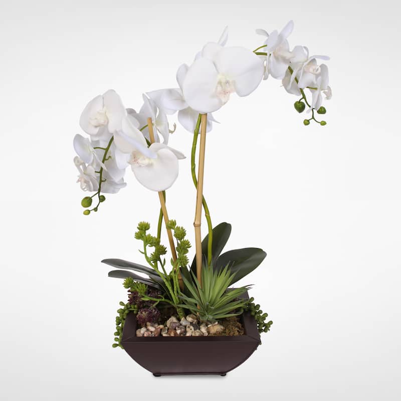 Real Touch White Phalaenopsis Silk Orchids with Succulents in a Modern ...