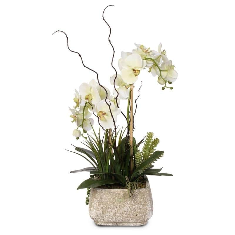 Real Touch Cream Green Phalaenopsis Silk Orchid Arrangement