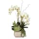 Real Touch Cream Green Phalaenopsis Silk Orchid Arrangement - On Sale ...