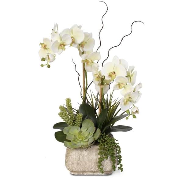 Real Touch Cream Green Phalaenopsis Silk Orchid Arrangement - - 12401154