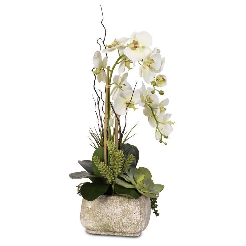Real Touch Cream Green Phalaenopsis Silk Orchid Arrangement