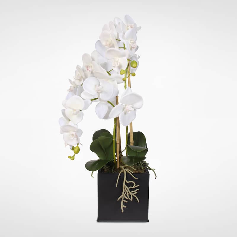 Real Touch Phalaenopsis Silk Orchids in a Metal Planter - White