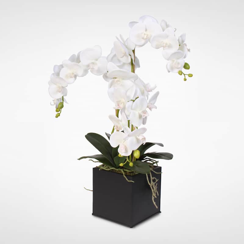Real Touch Phalaenopsis Silk Orchids in a Metal Planter - White