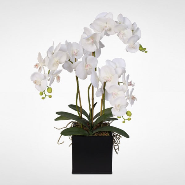 Real Touch Phalaenopsis Silk Orchids in a Metal Planter White