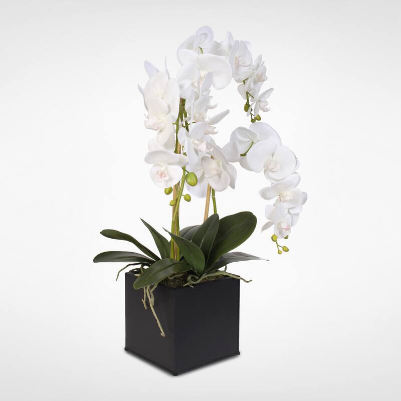 Real Touch Phalaenopsis Silk Orchids in a Metal Planter - White