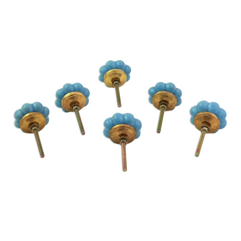 Handmade Set of 6 Ceramic 'Floral Beauties in Sky Blue' Cabinet Knobs (India)