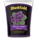 Shop Black Gold 1410502 8 QT P 8 Quart African Violet ...