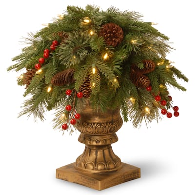 Green Plastic 24-inch Colonial Porch Bush with Clear Lights
