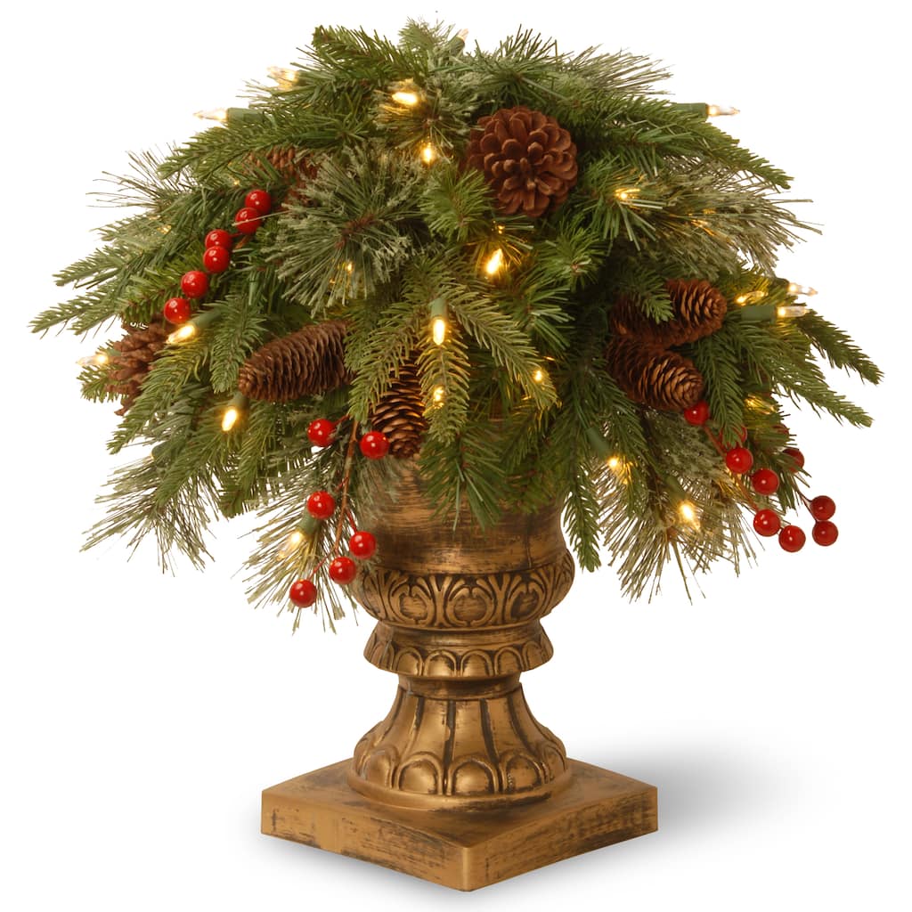 Green Plastic 24-inch Colonial Porch Bush with Clear Lights