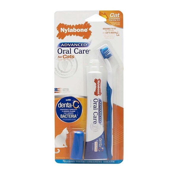 nylabone advanced oral care toothpaste