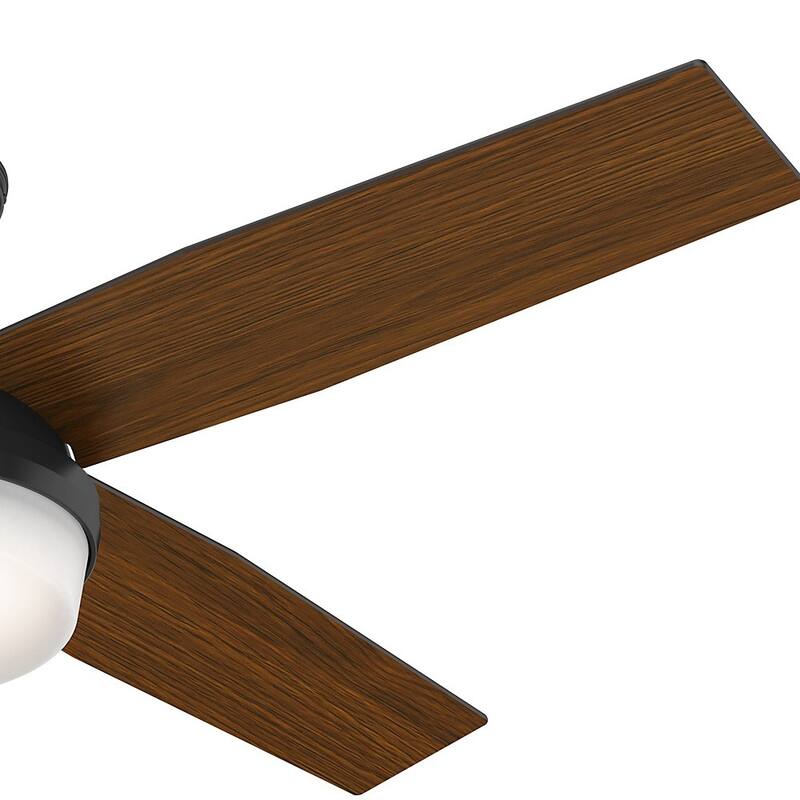 Hunter Fan Dempsey Collection Matte Black Metal and Glass Ceiling Fan with 4 Reversible Blackened Oak/Dark Walnut Blades