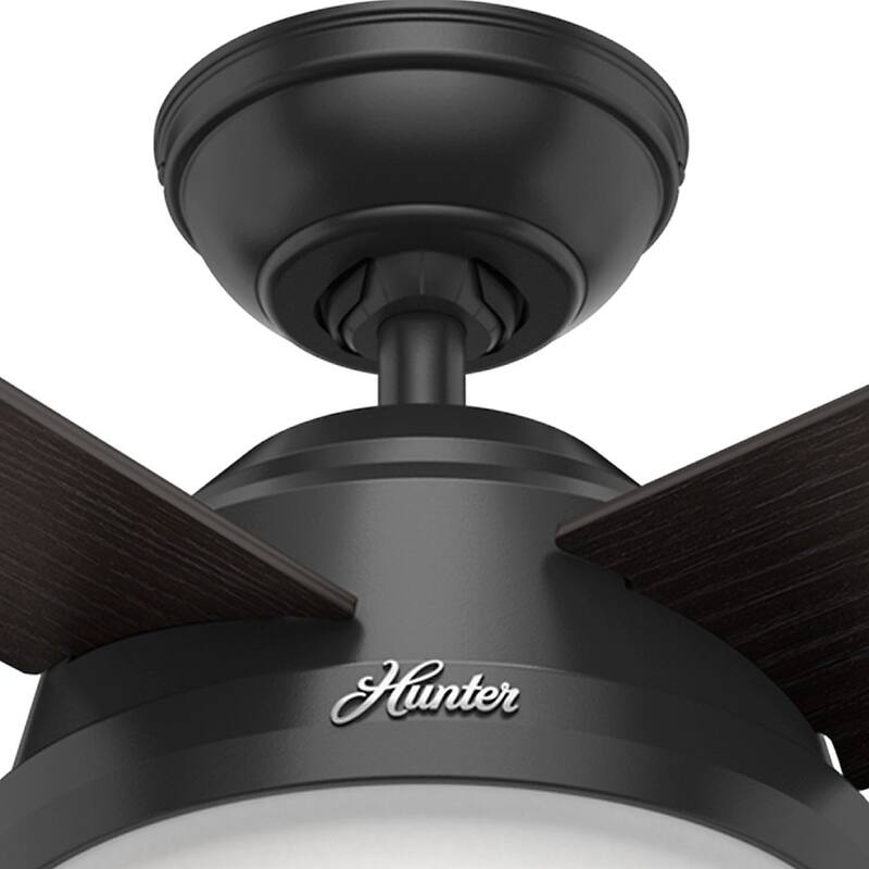Hunter Fan Dempsey Collection Matte Black Metal and Glass Ceiling Fan with 4 Reversible Blackened Oak/Dark Walnut Blades