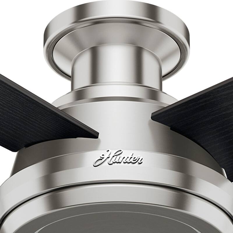Hunter Fan Dempsey Collection 52-inch Low Profile Brushed Nickel Ceiling Fan with 4 Black/Chocolate Oak Reversible Blades