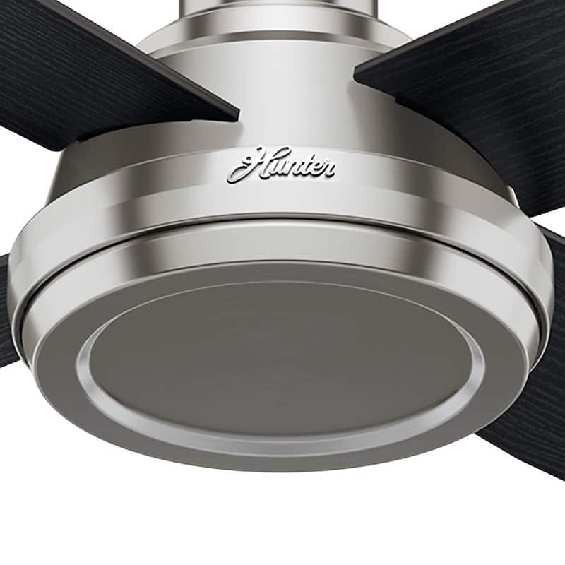 Hunter Fan Dempsey Collection 52-inch Low Profile Brushed Nickel Ceiling Fan with 4 Black/Chocolate Oak Reversible Blades