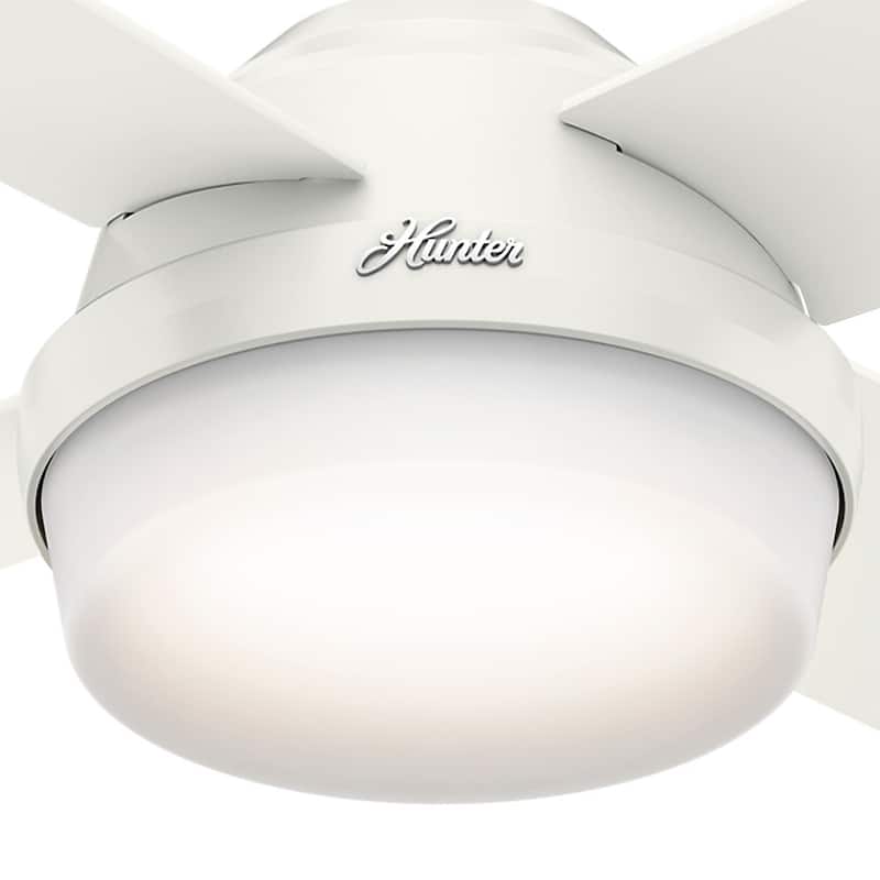 Hunter 44" Dempsey Ceiling Fan with LED Light Kit and Handheld Remote - Contemporary, Transitional, Industrial