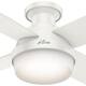 Hunter 52" Dempsey Flush Mount Ceiling Fan w/ LED Light Kit and Handheld Remote