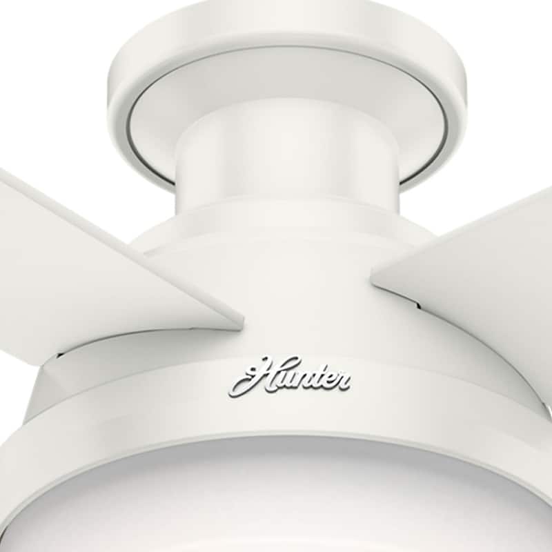 Hunter 52" Dempsey Flush Mount Ceiling Fan w/ LED Light Kit, Handheld Remote - Contemporary, Transitional - Low Profile