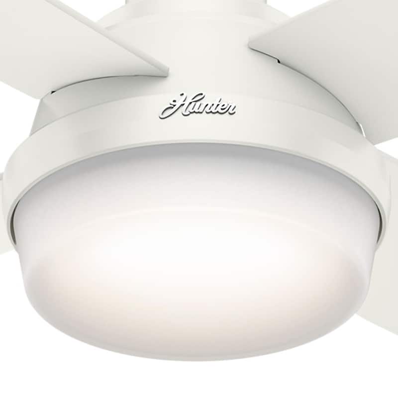 Hunter 52" Dempsey Flush Mount Ceiling Fan w/ LED Light Kit, Handheld Remote - Contemporary, Transitional - Low Profile