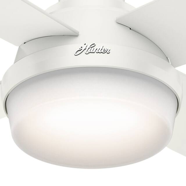Hunter 52" Dempsey Flush Mount Ceiling Fan w/ LED Light Kit and Handheld Remote