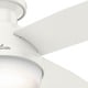 preview thumbnail 21 of 25, Hunter 52" Dempsey Flush Mount Ceiling Fan w/ LED Light Kit, Handheld Remote - Contemporary, Transitional - Low Profile