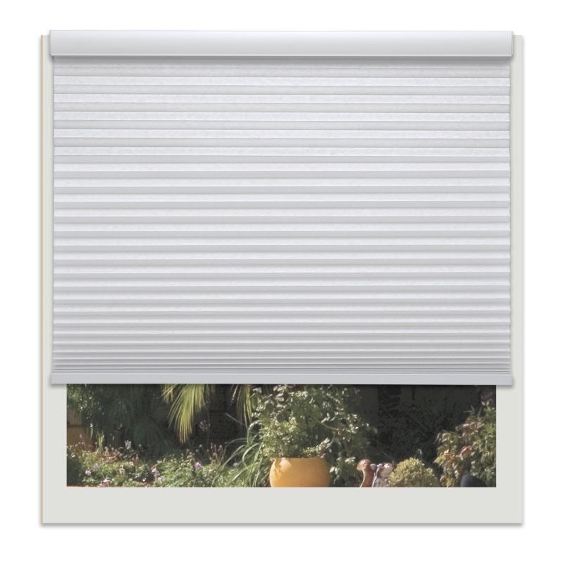 Decor Avenue Custom Cordless 52 3//4 x 48 to 54 Seashell Top Down Bottom Up Light Filtering Cellular Shade Inside Mount