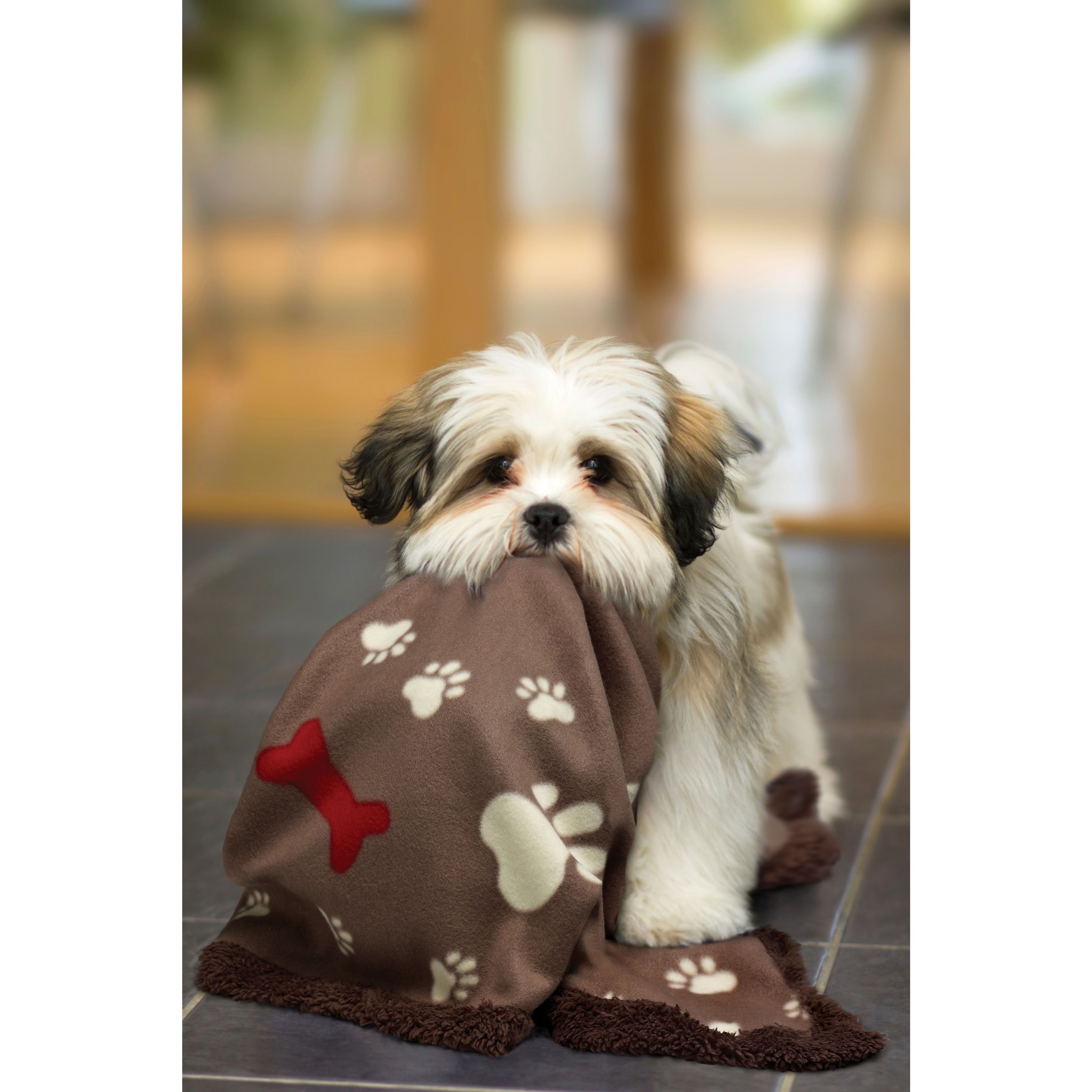 puppy fleece blanket