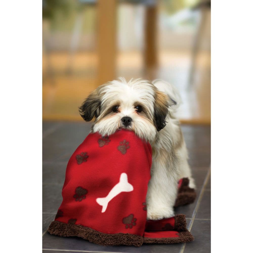 Red On Sale Dog Supplies Bed Bath Beyond