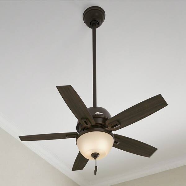 Shop Hunter Fan Donegan Collection 44 Inch Ceiling Fan With