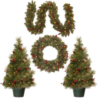 National Tree Company Christmas Cones and Berries Promotional Assortment with Battery Operated LED Lights