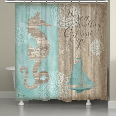 Laural Home Coastal Boardwalk Shower Curtain