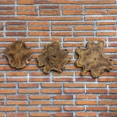 Kalani Teak Wall Art (Set of 3)